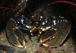 Davy Jones - In his locker, Co Kerry, Ireland. by Jim Garland 